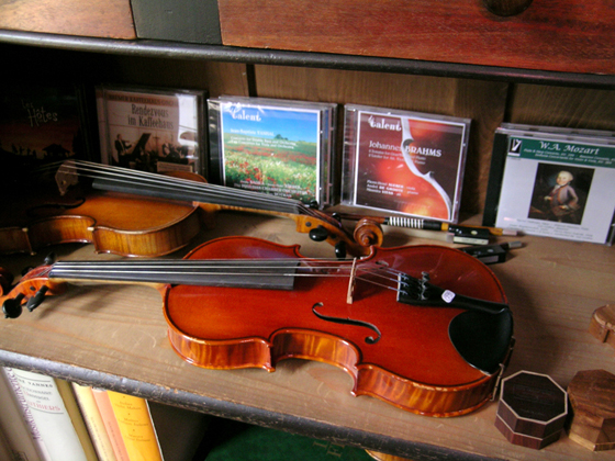 violon sur étagére