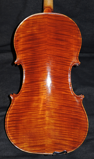 photo of viola back
