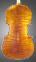 photo of viola
