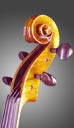 photo of viola