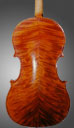 photo of viola