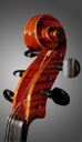 photo of viola