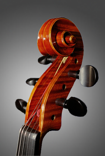 photo of viola