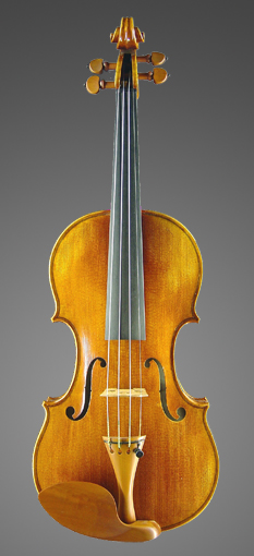 photo of violin